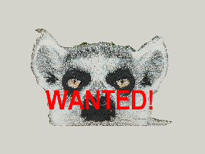 wanted.gif